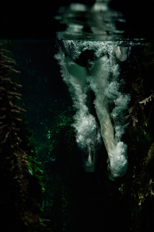 Jump In