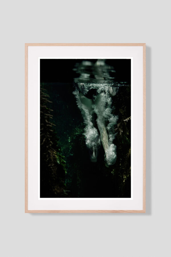Jump In - Image 2